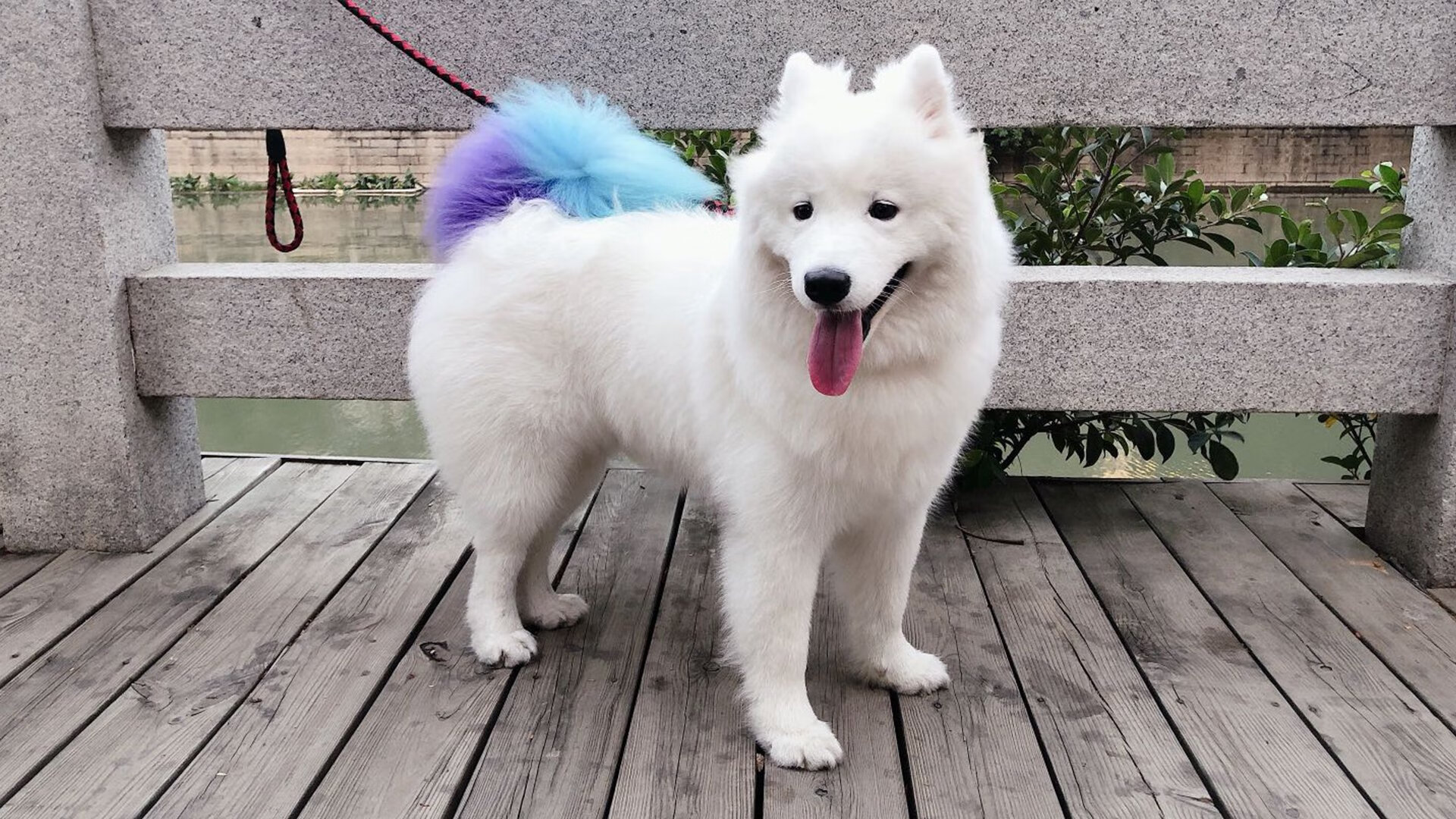 马克西末节爆砍24分！76人死里逃生拖入抢七