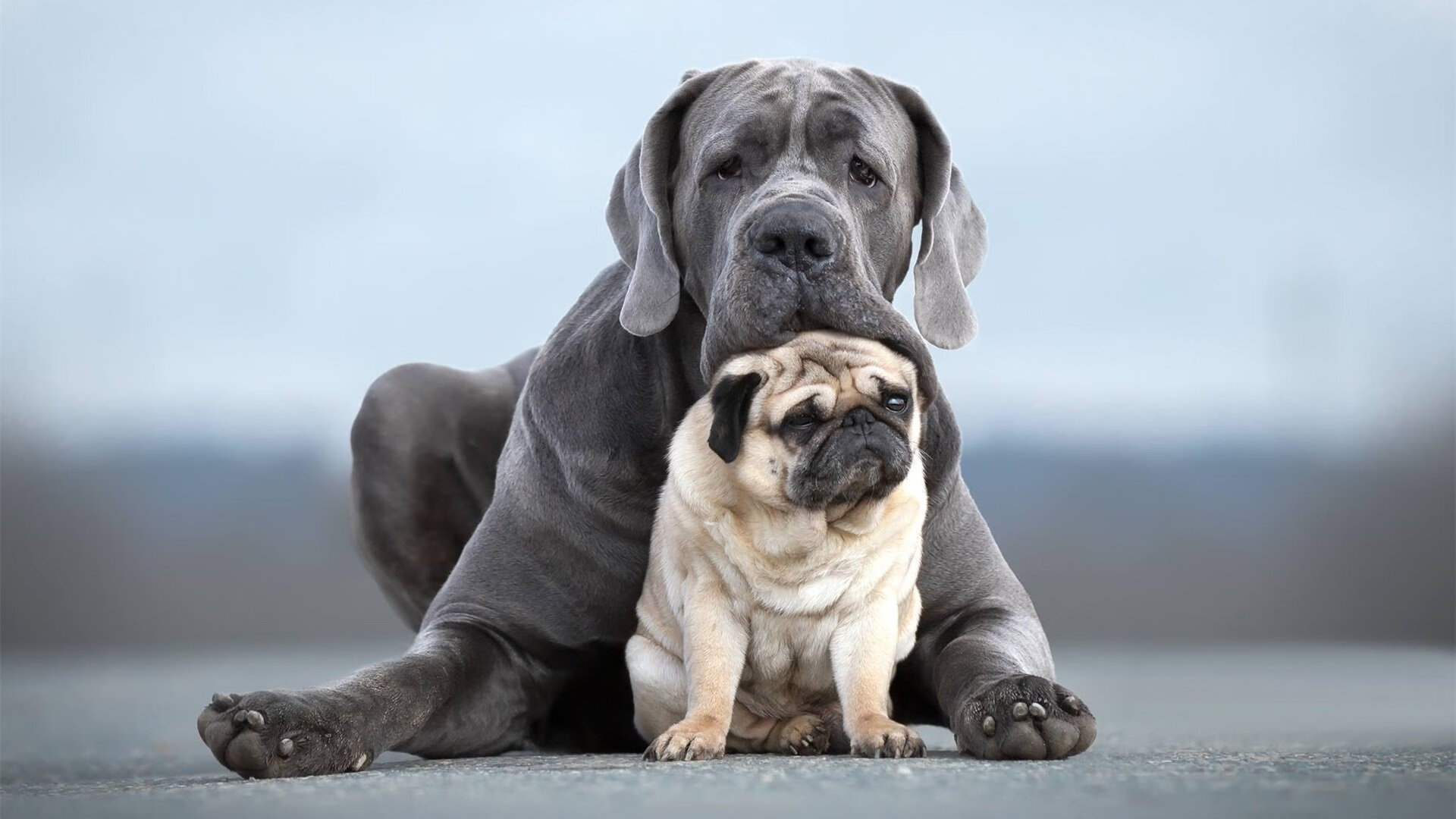浓眉以一己之力改写战局,老鹰展翅高飞碾碎爵士防线