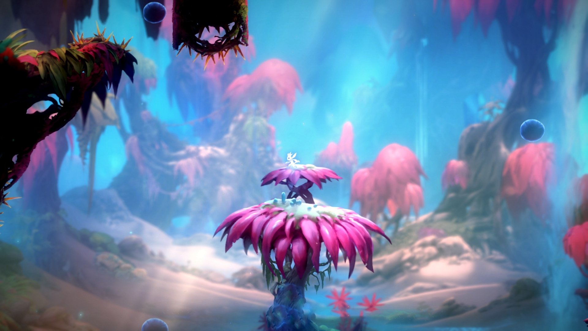 曼城的控场艺术，节奏大师如何拿捏皇家社会，凯塞多成为关键先生