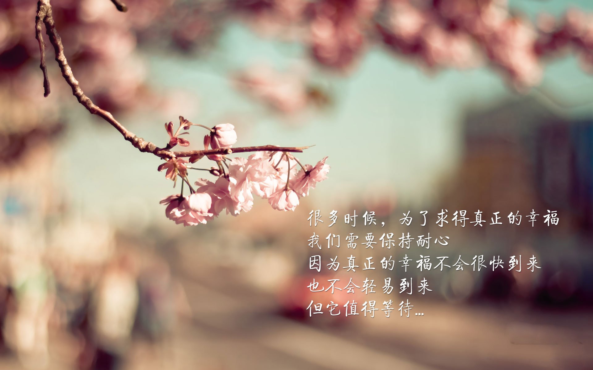 -绿茵传奇，从法国斩落土耳其到阿圭罗的大场面哲学