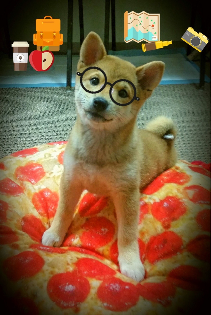 独行侠的音乐剧式逆袭，乔治如交响乐指挥，一波带走新疆队