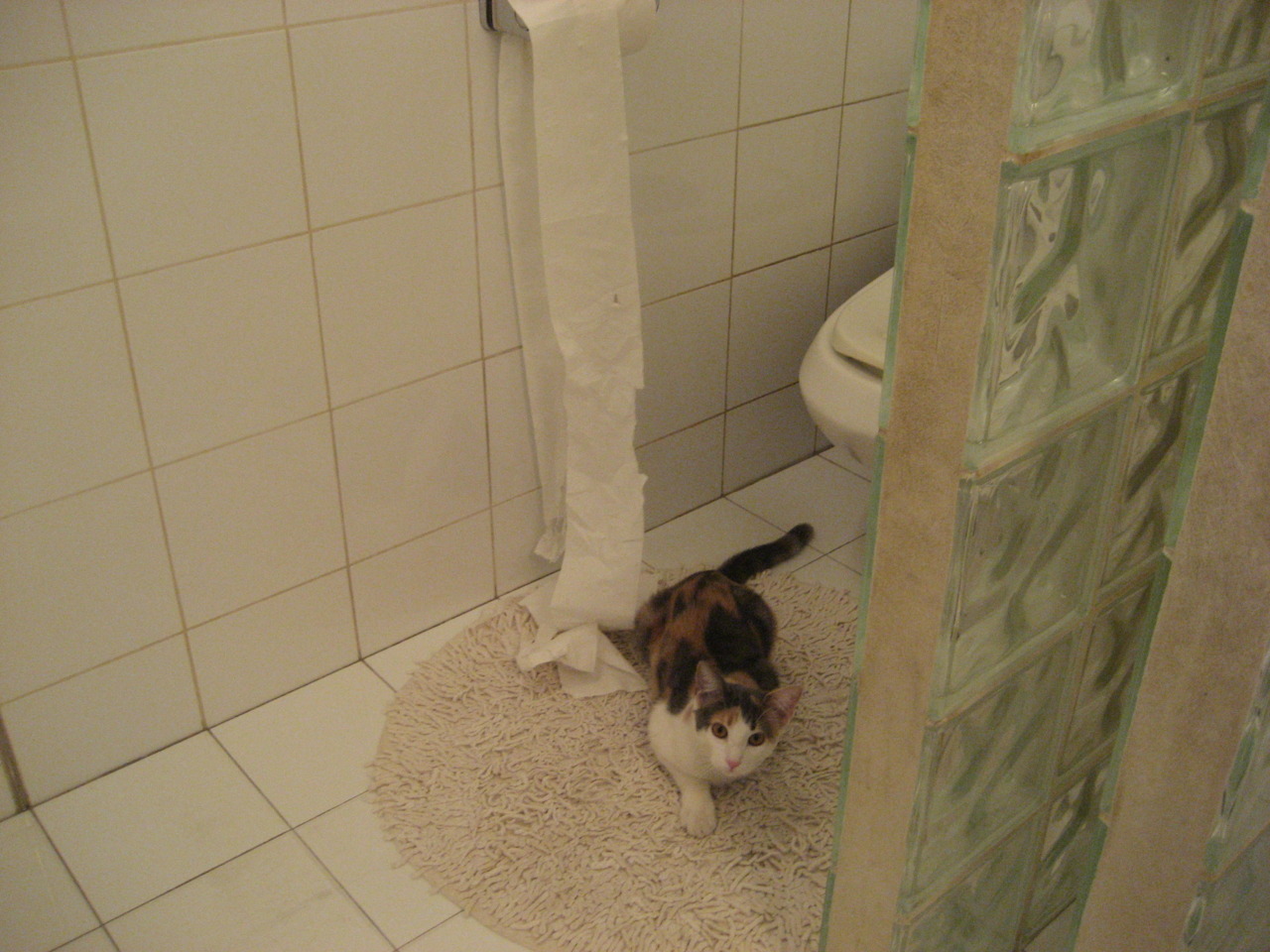 福克斯末节17分逆转乾坤，恩比德缺席他扛起费城旗帜