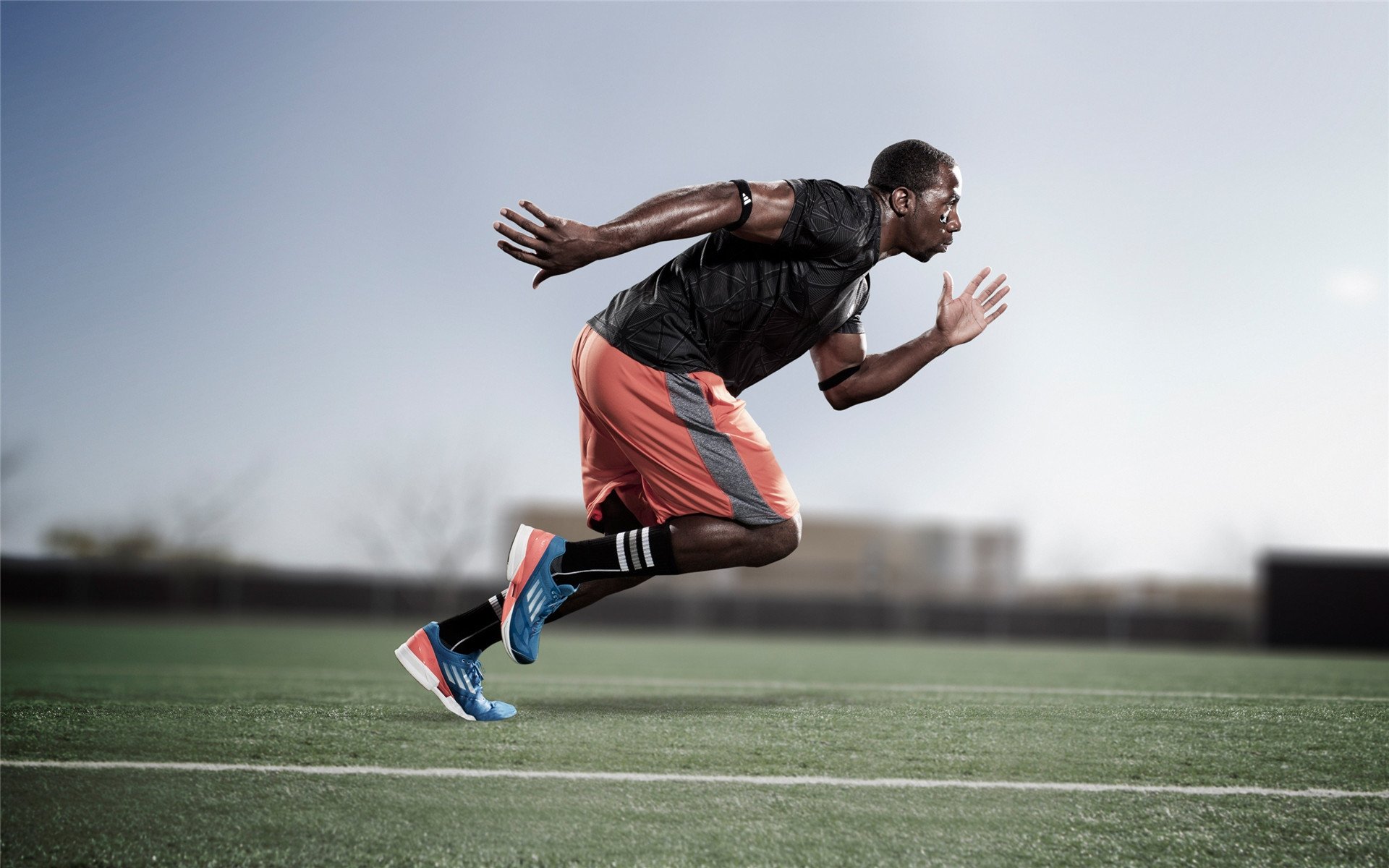 钢铁洪流碾过南方霸主，辽宁队火力全开，福克斯化身关键先生