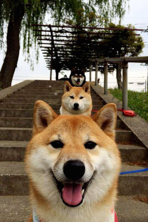 灰熊用铁血防守锁定胜局,杜兰特末节爆发化身关键先生