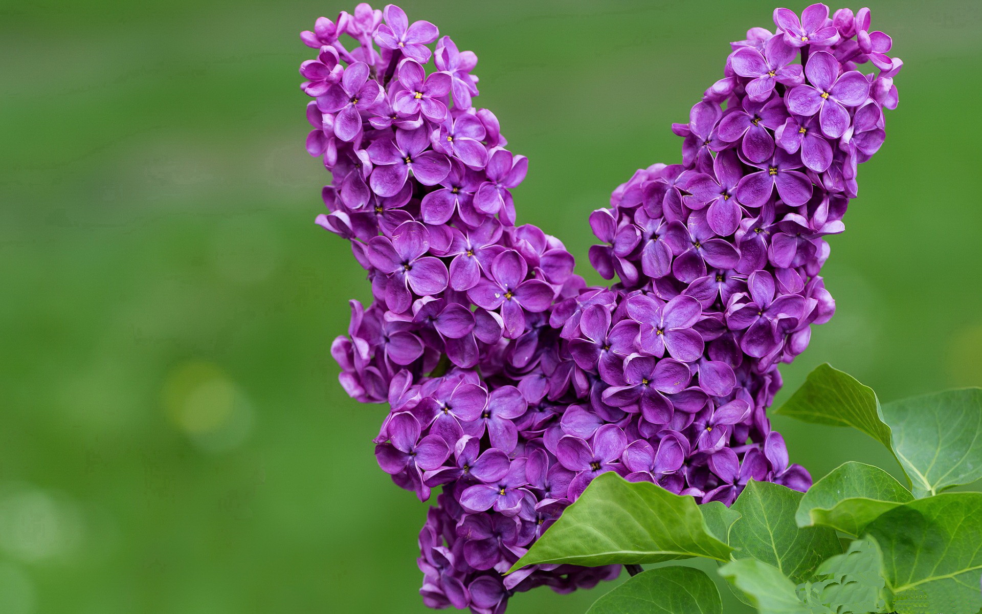 双线制胜，从新疆的钢铁洪流到霍勒迪的关键接管